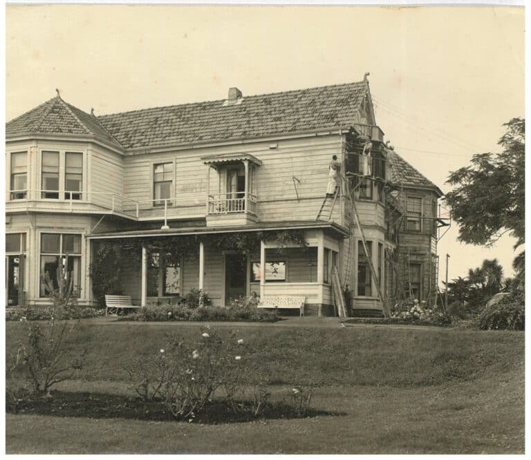 Painting House 1